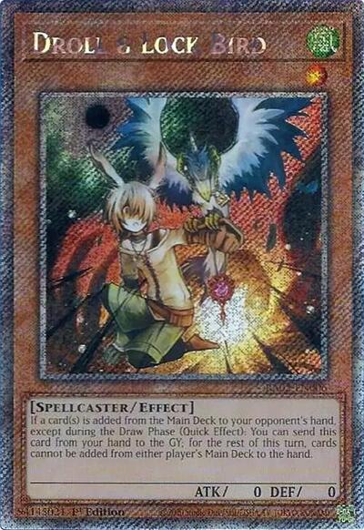Droll & Lock Bird (Platinum Secret Rare) (RA02-EN006) [25th Anniversary Rarity Collection II]