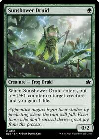 Sunshower Druid (195) [Bloomburrow]