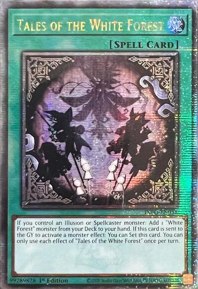 Tales of the White Forest (Quarter Century Secret Rare) (INFO-EN058) [The Infinite Forbidden]