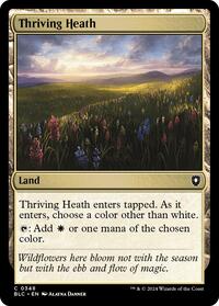 Thriving Heath (348) [Commander: Bloomburrow]