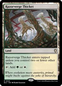 Razorverge Thicket (325) [Commander: Bloomburrow]