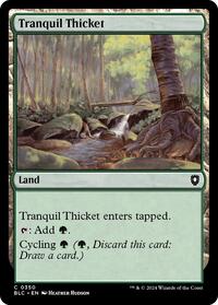 Tranquil Thicket (350) [Commander: Bloomburrow]