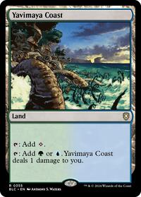 Yavimaya Coast (355) [Commander: Bloomburrow]