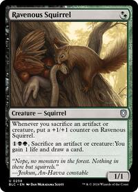 Ravenous Squirrel (258) [Commander: Bloomburrow]