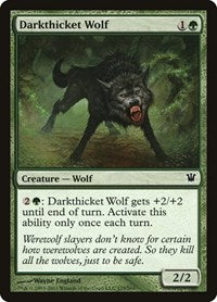 Darkthicket Wolf (175) [Innistrad]