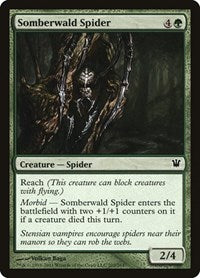 Somberwald Spider (202) [Innistrad]