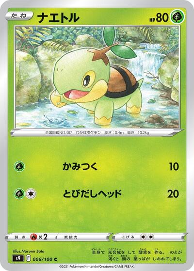 Turtwig (006/100) [S9: Star Birth]