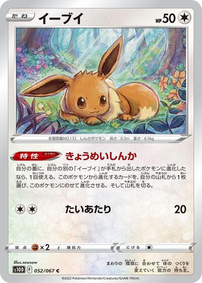 Eevee (052/067) [S10D: Time Gazer]