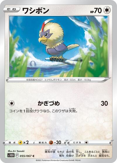 Rufflet (055/067) [S10D: Time Gazer]