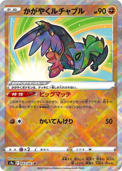 Radiant Hawlucha (043/067) [S9a: Battle Region]