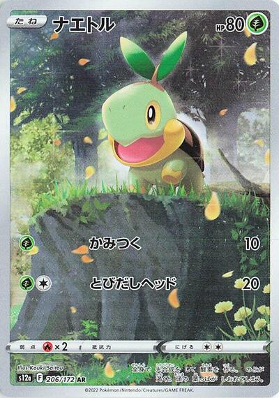Turtwig - 206/172 (206/172) [S12a: VSTAR Universe]