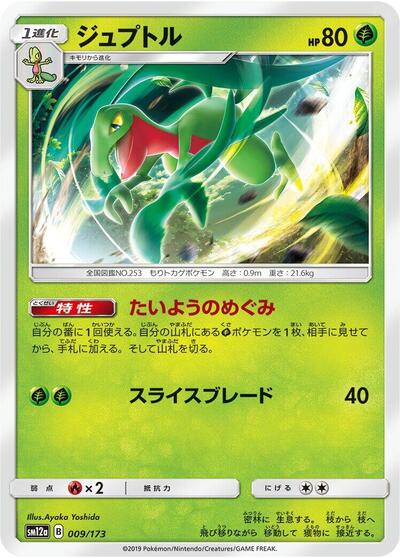 Grovyle (009/173) [SM12a: TAG TEAM GX: Tag All Stars]