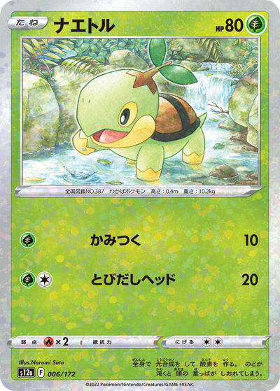 Turtwig - 006/172 (Mirror Holofoil) (006/172) [S12a: VSTAR Universe]