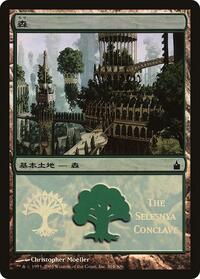 Forest (The Selesnya Conclave) (304) [Magic Premiere Shop]