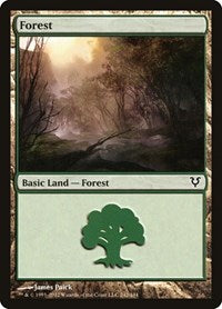 Forest (242) (242) [Avacyn Restored]