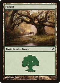 Forest (244) (244) [Avacyn Restored]