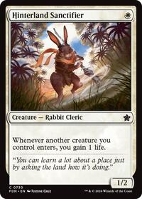 Hinterland Sanctifier (730) [Foundations]