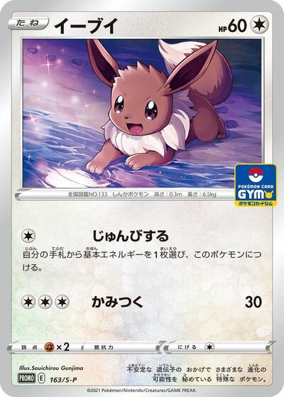 Eevee - 163/S-P (163/S-P) [S-P: Sword & Shield Promos]