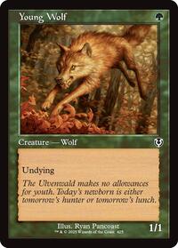 Young Wolf (Retro Frame) (425) [Innistrad Remastered]
