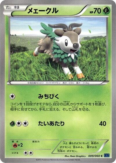 Skiddo (009/060) [XY-Bx: Collection X]