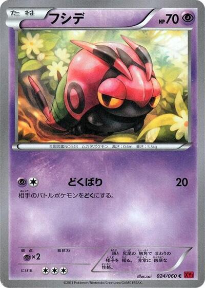 Venipede (024/060) [XY-By: Collection Y]