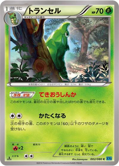 Metapod (002/080) [XY2: Wild Blaze]