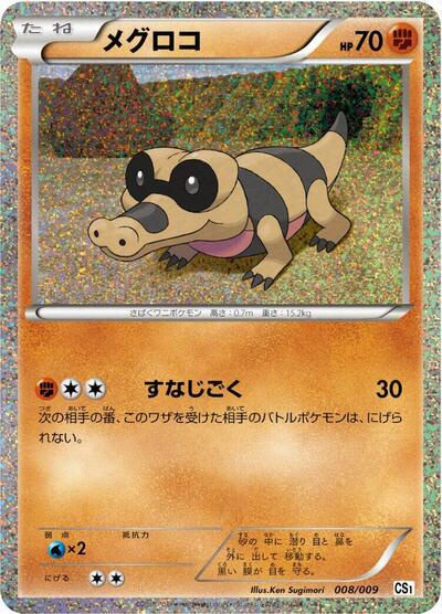 Sandile (008/009) [CS1: Journey Partners Collection Sheet]