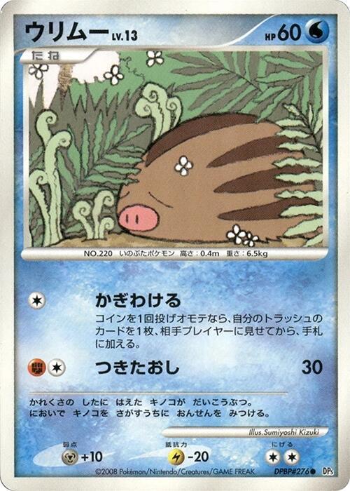 Swinub [DP5: Temple of Anger]