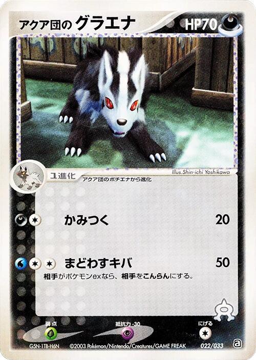 Team Aqua's Mightyena - 022/033 (022/033) [Aqua Deck Kit]