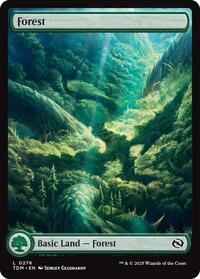 Forest (0276) (276) [Tarkir: Dragonstorm]