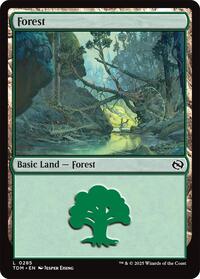 Forest (0285) (285) [Tarkir: Dragonstorm]
