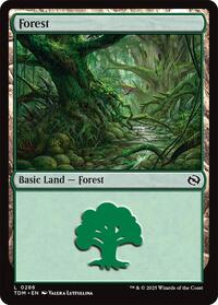 Forest (0286) (286) [Tarkir: Dragonstorm]