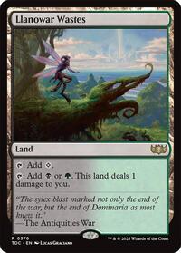Llanowar Wastes (376) [Commander: Tarkir: Dragonstorm]