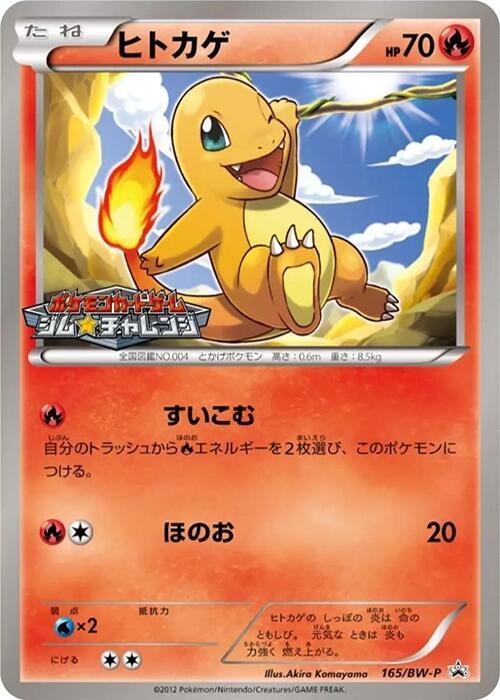 Charmander - 165/BW-P (165/BW-P) [BW-P Promotional cards]