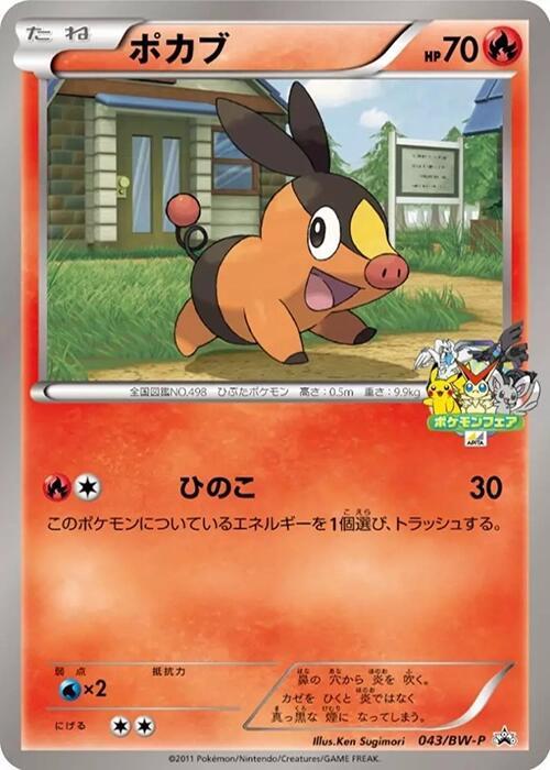 Tepig - 043/BW-P (043/BW-P) [BW-P Promotional cards]