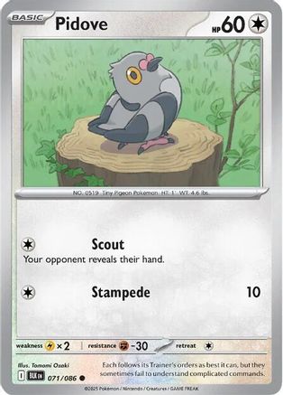 Pidove 071/086  - Reverse Holofoil SV Black Bolt - Common