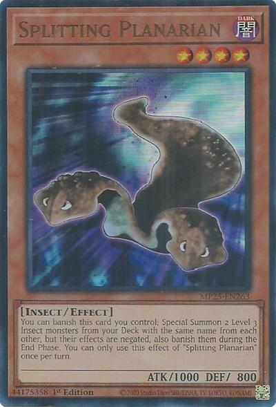 Splitting Planarian (MP25-EN263) [2025 Mega-Pack]