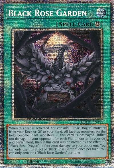 Black Rose Garden (Starlight Rare) (DOOD-EN055) [Doom of Dimensions]