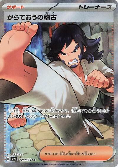 Black Belt's Training (220/193) [M2a: High Class Pack: MEGA Dream ex]