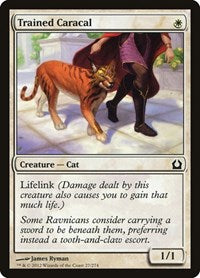 Trained Caracal (27) [Return to Ravnica]