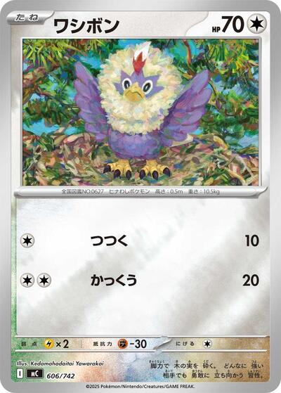 Rufflet (Mirror Holo) (606/742) [Start Deck 100 Battle Collection]