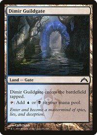 Dimir Guildgate (241) [Gatecrash]