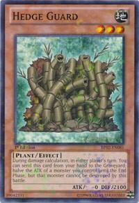 Hedge Guard (Mosaic Rare) (BP02-EN081) [Battle Pack 2: War of the Giants]