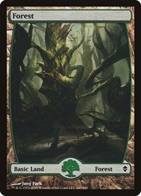 Forest (247) - Full Art (247) [Zendikar]