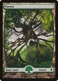 Forest (249) - Full Art (249) [Zendikar]