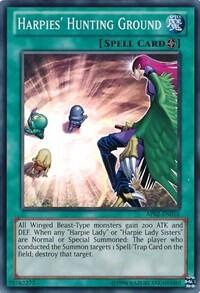 Harpies' Hunting Ground (AP02-EN010) [Astral Pack 2]