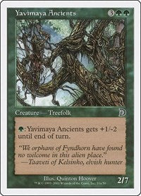 Yavimaya Ancients (31a) (31a) [Deckmasters Garfield vs Finkel]