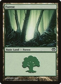 Forest (165) (165) [Planechase]