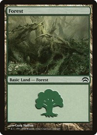 Forest (166) (166) [Planechase]