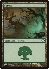 Forest (167) (167) [Planechase]